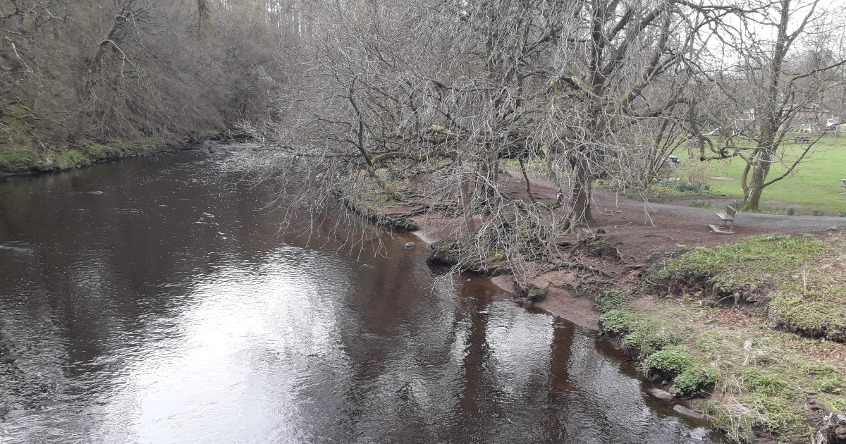 1200x630RiverAlmond20230405_110836