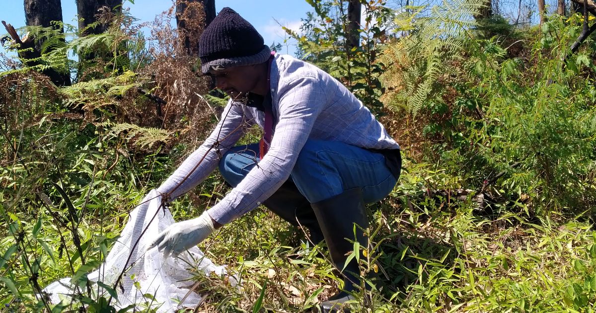 A researcher carries out fieldwork in an area of countryside in Tanzania