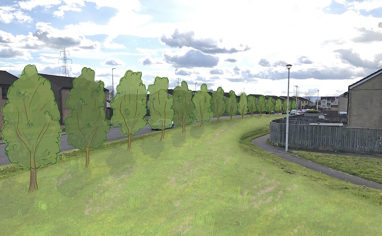 Visual representation of trees planted in Scottish town road