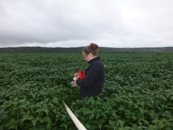 Mrs Helen Taylor-Boyd