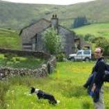 Professor Michael Penman