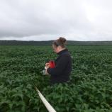 Mrs Helen Taylor-Boyd